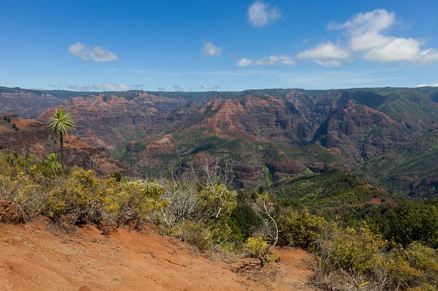 085 Kauai, Waimea Canyon SP.jpg